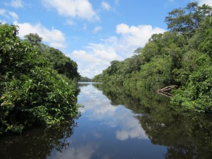 IMG_0105